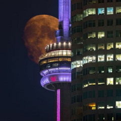 Hello There! (whyes)