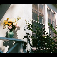 rosey dream i