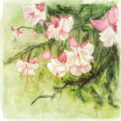 Fuchsia's Bloom custom pack preview