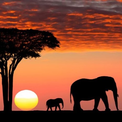 KIKUYU Extended version