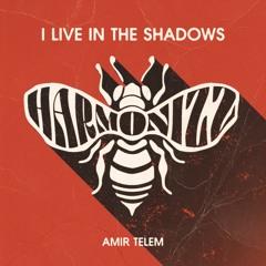 Amir Telem - Live In The Shadows  (Sunrise Remix)
