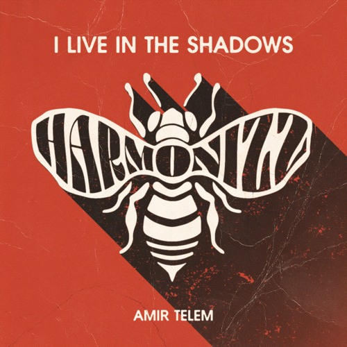 Amir Telem - Live In The Shadows  (Sunrise Remix)