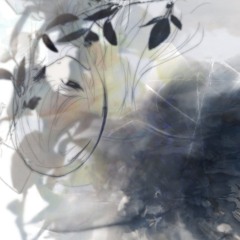 dreams +elixio (me + elixio)