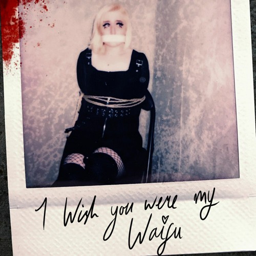 I Wish You Were My Waifu - Connor Quest & Shwabadi