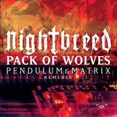 Pack of Wolves (Matrix Remix)
