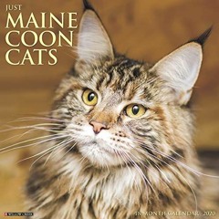 Get EPUB 📰 Just Maine Coon Cats 2020 Wall Calendar by  Willow Creek Press [PDF EBOOK