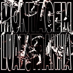MONTAGEM LUA ESTRANHA - DJ PLT 011, DJ RGLX, DJ LIRA DA ZL