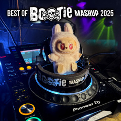Best of Bootie Mashup 2025 (Full Mix)