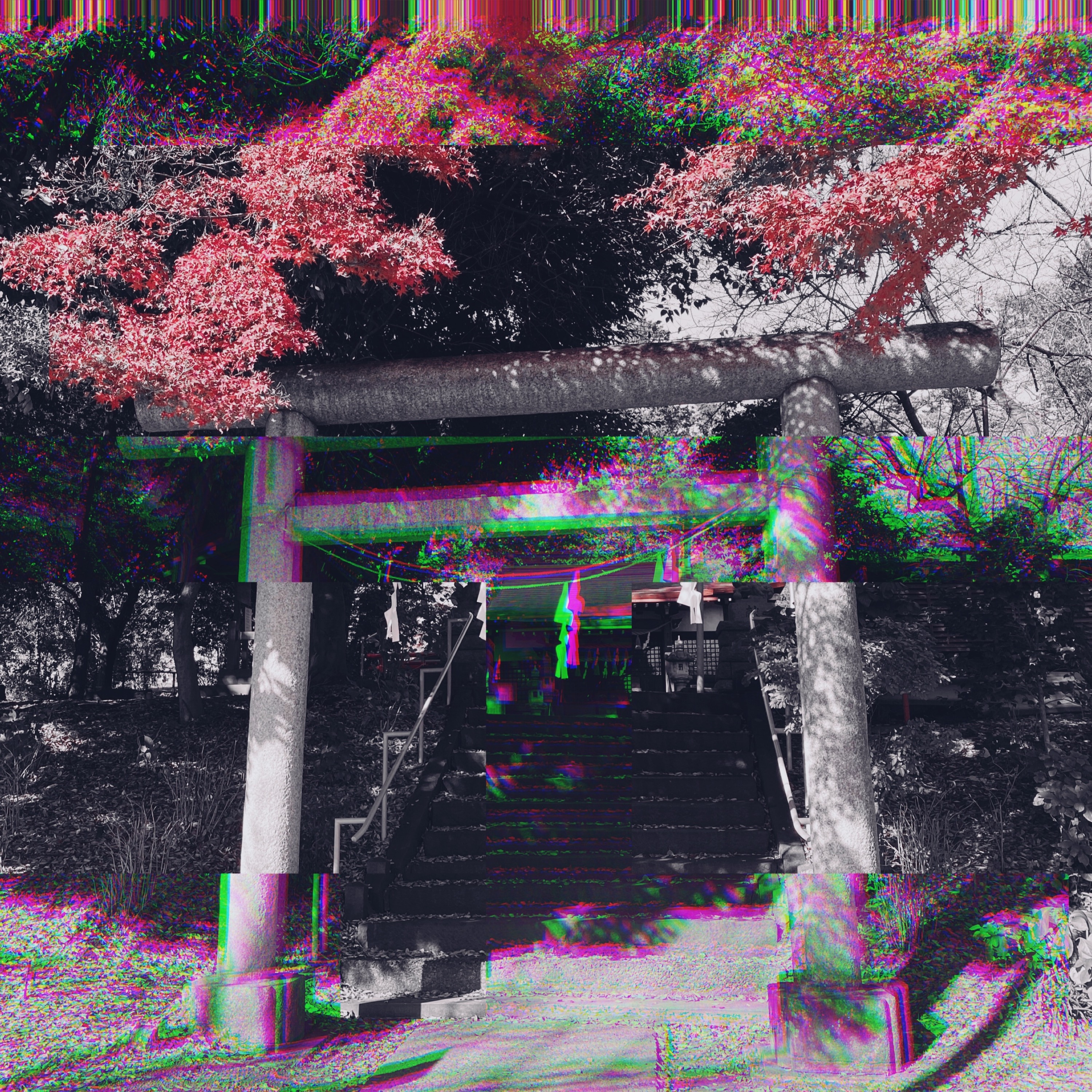 WARYU-AmbIvalences
