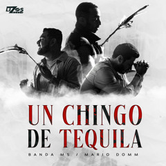 Un Chingo de Tequila