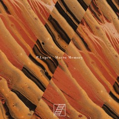 P.Lopez - Macro Memory