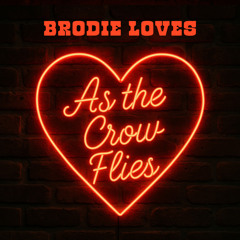 As The Crow Flies