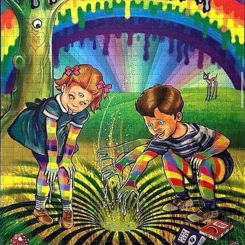 Rabbit Hole