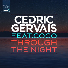 Through The Night (Chris Lake Mix) [feat. Coco]