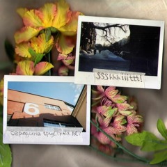 ssshhhiiittt - 100% Surf (1.05х)