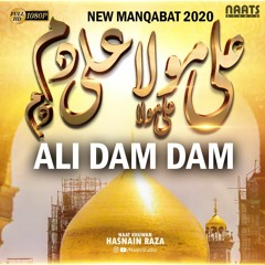 ALI MOLA ALI DAM DAM | Official Full Track | Remix | 2020 | Manqabat e Mola Ali | Hasnain Raza