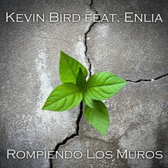 Rompiendo Los Muros (feat Enlia)