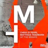 Chris Di Perri, Matthias Tanzmann - Hit The Brakes