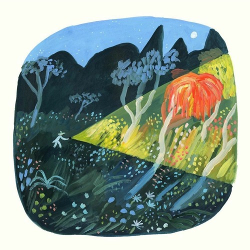 'Shrooms