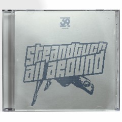 Strandtuch - All Around EP (39DGT05)