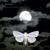 Artwork for Moth Man