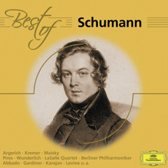 Schumann: Waldszenen, Op. 82: No. 7 Vogel als Prophet