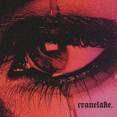 Triston Davis - You Lied (cranelake. remix)