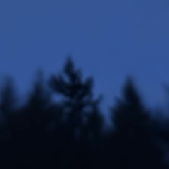 Late Night Sesh (Amiga MOD)