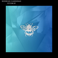 Rodrigo Cardenas - Amor