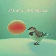 Salmon Pink Dream