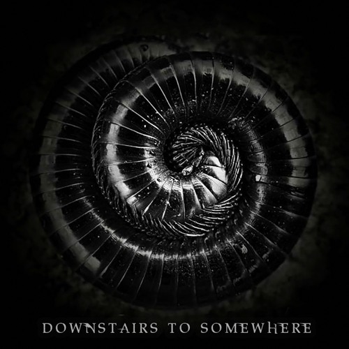 Downstairs to Somewhere - "It's Not About You"
