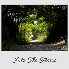 Into The Forest - NOVAIR