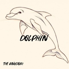 Dolphin 🐬