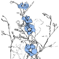 Music To Watch Seeds Grow By 003: Graintable (Blue Flax) Previews