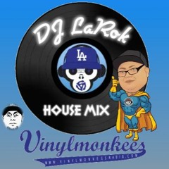 VMR DJ LaRok - House Mix 6/8/23