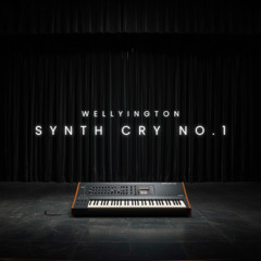 Synth Cry No.1 (Original Mix)