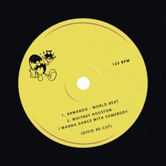 Armando - World Beat / Whitney Houston - I Wanna Dance With Somebody (DIVID Re-Cut)
