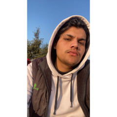 Majak Sultaan (feat. Bhallwaan)Rise Of Punjabi Album