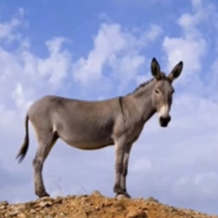 ‎⁨بحبك يا هيون 😭⁩