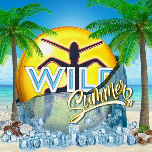 Wild Summer 2022 New NRG-Mixed By Zach Scratch