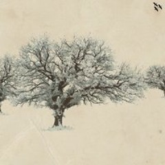 Pitchfight Radio