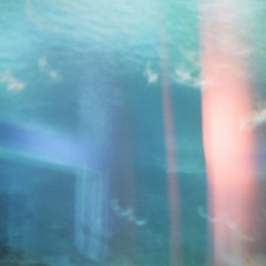 Lo-fi: Isn't Love Important