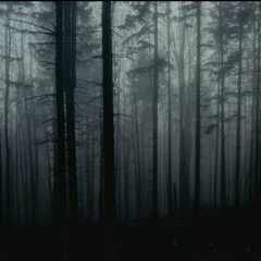 STOP - Lil Darkie slowed