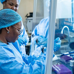OMS redobra esforços para conter ebola