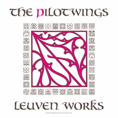 NACHT02: The Pilotwings - Leuven Works