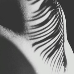 Alexander Bogdanov - Musica Para Estar (Heavenchord & Shebuzzz Remix) [excerpt]