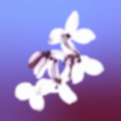 mixtape_2 intimacy edition