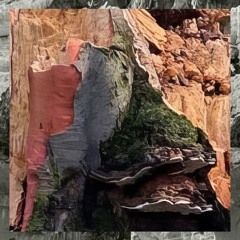 Hundred Years (Acid Pauli's Robot Remix)