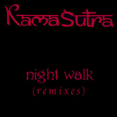 Night Walk (Dob-Jam Dub Remix)