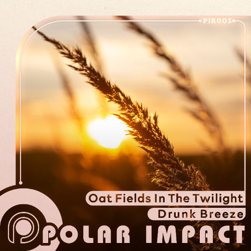 Oat Fields In The Twilight